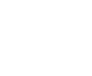 Evolution games at Wins Park Spin Casino
